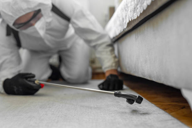 Professional Bed Bug Control technician working in Poquott, NY