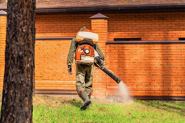 Trusted Termite Control service in Poquott, NY - Nex Pest Control